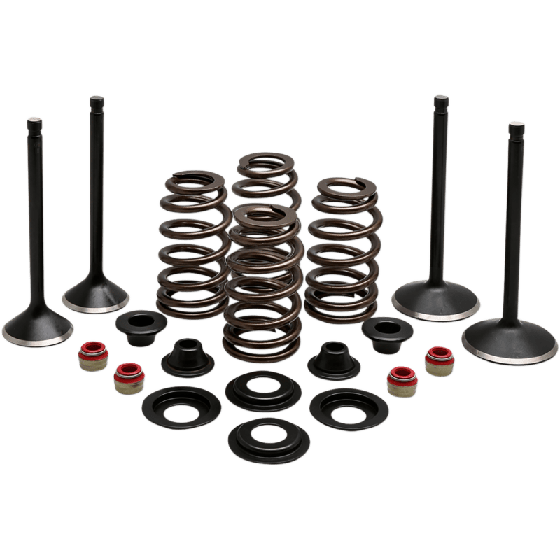 KIBBLEWHITE ENGINE KIT 1988 - 03 HD EVO SPORTSTER 1200CC (20 - 22850) - DRIVEN Canada's Powersports 20 - 22850