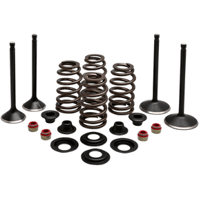 KIBBLEWHITE ENGINE KIT 1988 - 03 HD EVO SPORTSTER 1200CC (20 - 22850) - DRIVEN Canada's Powersports 20 - 22850