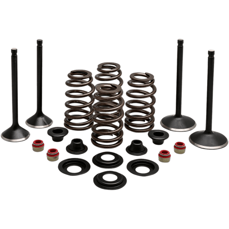 KIBBLEWHITE ENGINE KIT 1988 - 03 HD EVO SPORTSTER 1200CC (20 - 22850) - DRIVEN Canada's Powersports 20 - 22850