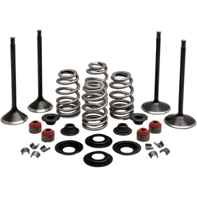 KIBBLEWHITE ENGINE KIT 2004 - 17 HD EVO SPORTSTER 1200CC (20 - 22950) - DRIVEN Canada's Powersports 20 - 22950