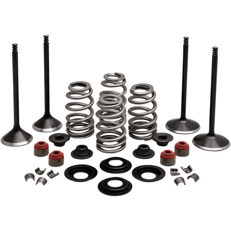 KIBBLEWHITE ENGINE KIT 2004 - 17 HD EVO SPORTSTER 1200CC (20 - 22950) - DRIVEN Canada's Powersports 20 - 22950