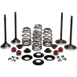 KIBBLEWHITE ENGINE KIT 2005 - 17 HD TWIN 88"103" - DRIVEN Canada's Powersports 20 - 23150