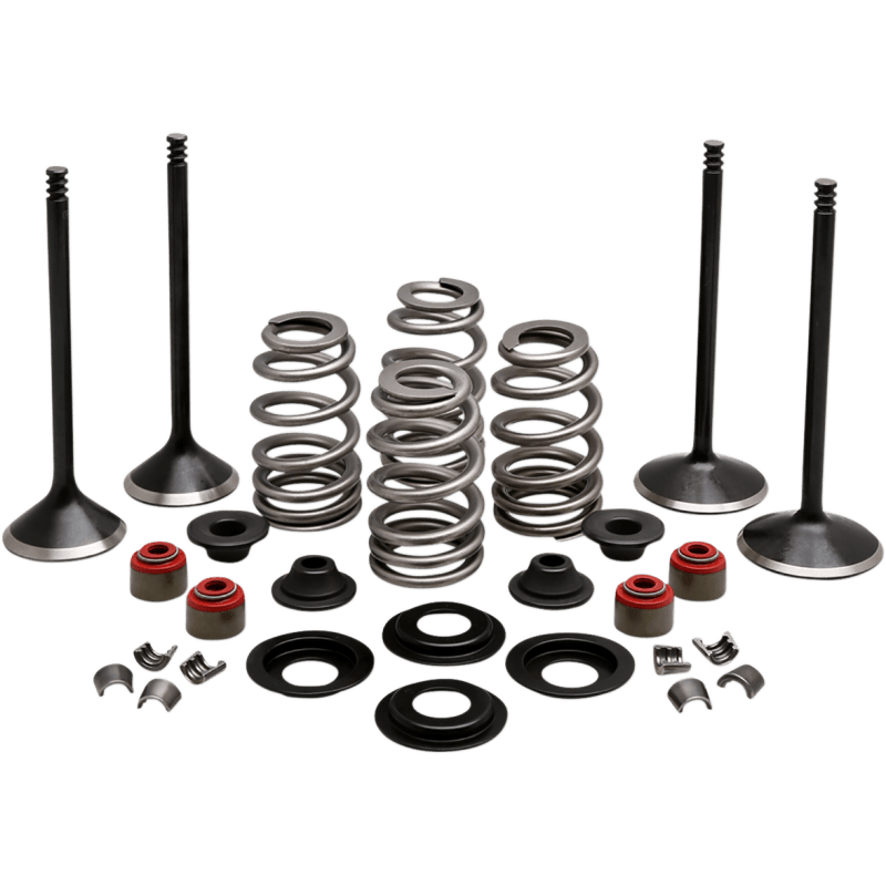 KIBBLEWHITE ENGINE KIT 2005 - 17 HD TWIN 88"103" - DRIVEN Canada's Powersports 20 - 23150