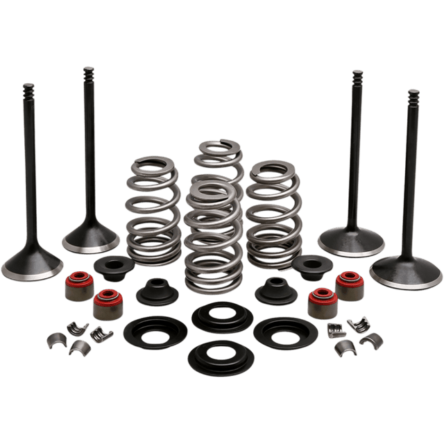 KIBBLEWHITE ENGINE KIT 2005 - 17 HD TWIN 88"103" - DRIVEN Canada's Powersports 20 - 23150