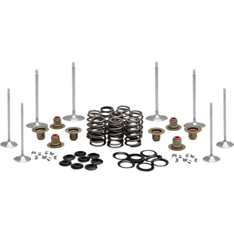 KIBBLEWHITE ENGINE KIT 2017 - 19 HD MILWAUKEE - EIGHT (20 - 23350) - DRIVEN Canada's Powersports 20 - 23350