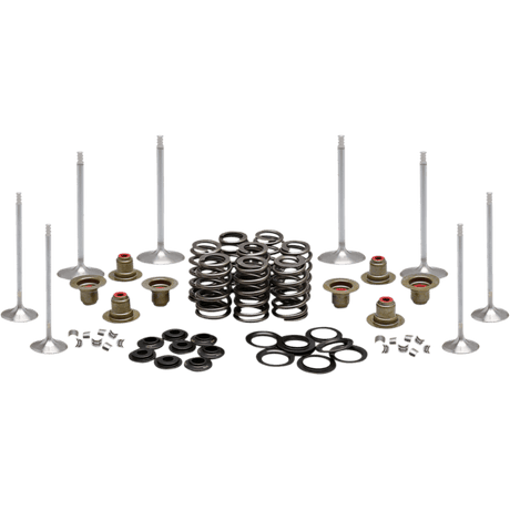 KIBBLEWHITE ENGINE KIT 2017 - 19 HD MILWAUKEE - EIGHT (20 - 23350) - DRIVEN Canada's Powersports 20 - 23350