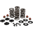 KIBBLEWHITE SPRING KIT 05 - 17 TC/XL (20 - 23500) - DRIVEN Canada's Powersports 20 - 23500