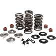 KIBBLEWHITE SPRING KIT 05 - 17 TC/XL (20 - 23550) - DRIVEN Canada's Powersports 20 - 23550