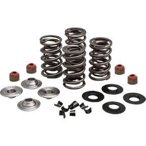 KIBBLEWHITE SPRING KIT 05 - 17 TC/XL (20 - 23550) - DRIVEN Canada's Powersports 20 - 23550