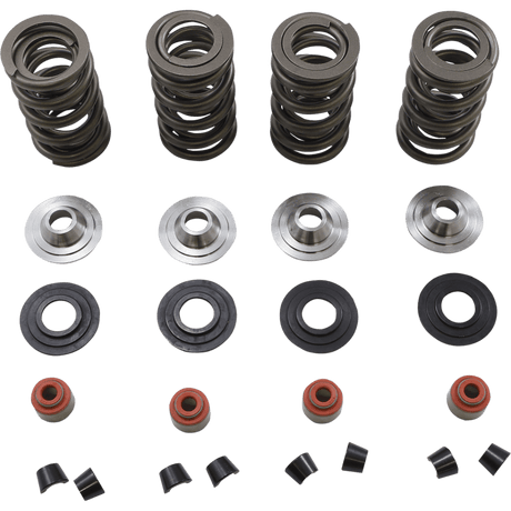 KIBBLEWHITE SPRING KIT 05 - 17 TC/XL (20 - 23650) - DRIVEN Canada's Powersports 20 - 23650