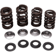 KIBBLEWHITE SPRING KIT 06 - 08 TRX450R (30 - 30920) - DRIVEN Canada's Powersports 30 - 30920