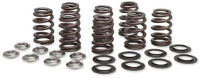 KIBBLEWHITE SPRING KIT BEEHIVE 17 - 19 M8 - DRIVEN Canada's Powersports 20 - 21000