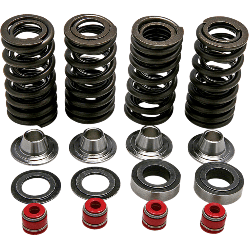 KIBBLEWHITE SPRING KIT CRF250R (30 - 30590) - DRIVEN Canada's Powersports 30 - 30590