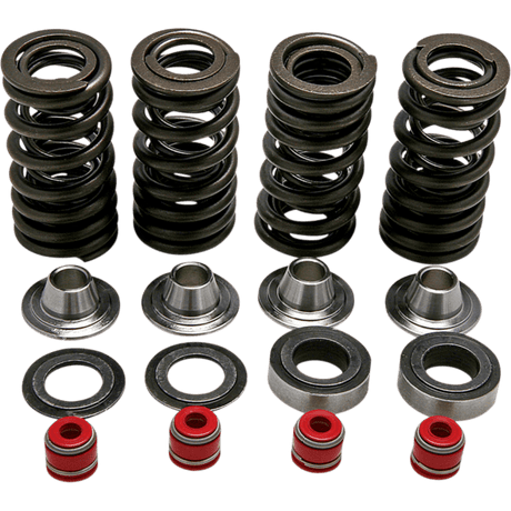 KIBBLEWHITE SPRING KIT CRF250R (30 - 30590) - DRIVEN Canada's Powersports 30 - 30590