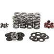 KIBBLEWHITE SPRING KT DUAL M8 .630 S KT (20 - 23850) - DRIVEN Canada's Powersports 20 - 23850