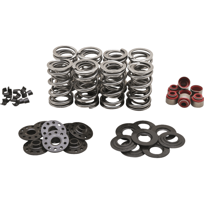 KIBBLEWHITE SPRING KT DUAL M8 .630 S KT (20 - 23850) - DRIVEN Canada's Powersports 20 - 23850