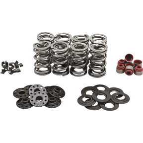 KIBBLEWHITE SPRING KT DUAL M8 .630 S KT (20 - 23850) - DRIVEN Canada's Powersports 20 - 23850