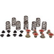 KIBBLEWHITE SPRING KT RZR XP1000 14+ (82 - 82550) - DRIVEN Canada's Powersports 82 - 82550