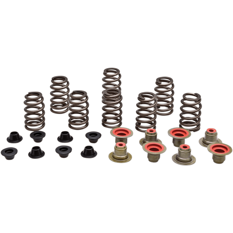 KIBBLEWHITE SPRING KT RZR XP1000 14+ (82 - 82550) - DRIVEN Canada's Powersports 82 - 82550