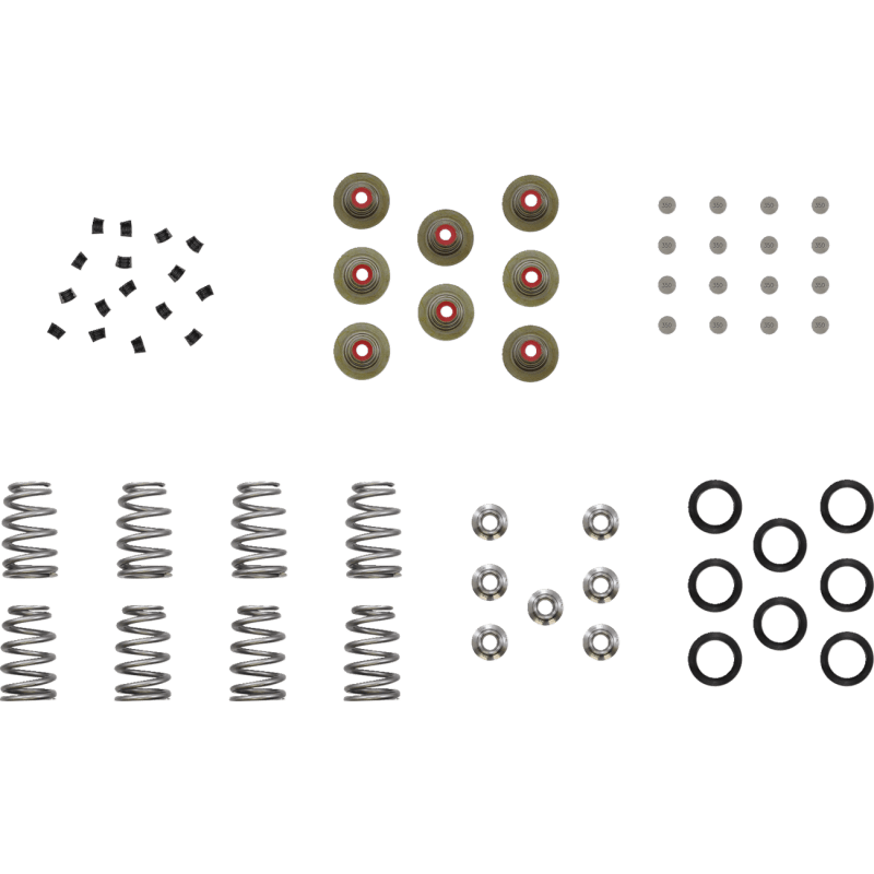 KIBBLEWHITE SPRING KT SHIM M8 BHIV KT - DRIVEN Canada's Powersports 20 - 23900