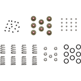 KIBBLEWHITE SPRING KT SHIM M8 BHIV KT - DRIVEN Canada's Powersports 20 - 23900