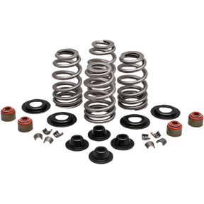 KIBBLEWHITE SPRING KT.610"05 - 17 TC (20 - 21400) - DRIVEN Canada's Powersports 20 - 21400