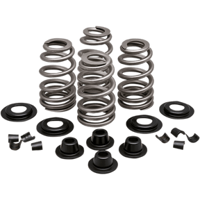 KIBBLEWHITE SPRING KT.610"84 - 04EVO/TC (20 - 21300) - DRIVEN Canada's Powersports 20 - 21300
