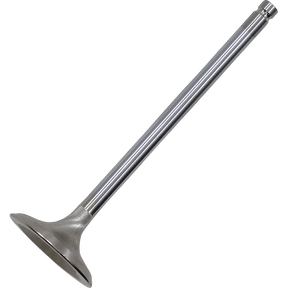 KIBBLEWHITE VALVE EX STD HON1000 16+ (30 - 33816K) - DRIVEN Canada's Powersports 30 - 33816K