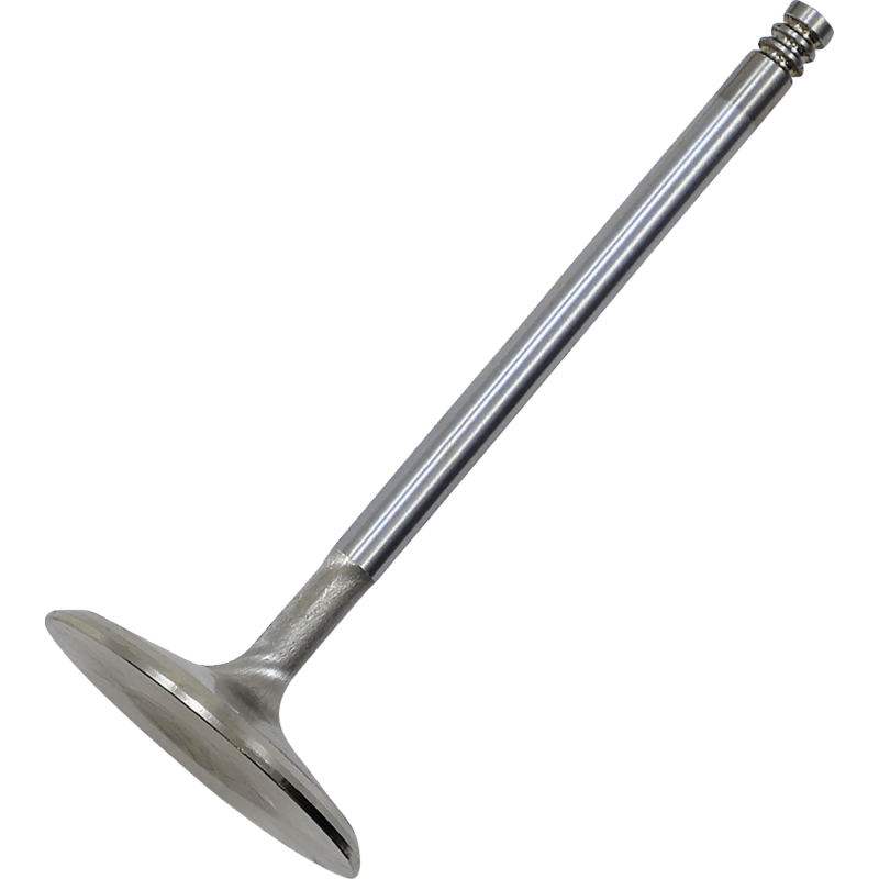 KIBBLEWHITE VALVE IN M8 WD 1.654" (20 - 21061H) - DRIVEN Canada's Powersports 20 - 21061H