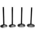 KIBBLEWHITE VALVE KIT 1984 - 99 HD EVOLUTION (20 - 22600) - DRIVEN Canada's Powersports 20 - 22600