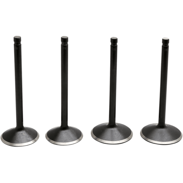 KIBBLEWHITE VALVE KIT 1984 - 99 HD EVOLUTION (20 - 22600) - DRIVEN Canada's Powersports 20 - 22600