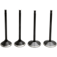 KIBBLEWHITE VALVE KIT 2005 - 17 HD TWIN 88"103" - DRIVEN Canada's Powersports 20 - 23100