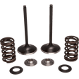 KIBBLEWHITE VALVE KT IN CRF250R 18 - 21 (KT) (30 - 34000) - DRIVEN Canada's Powersports 30 - 34000