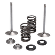 KIBBLEWHITE VALVE KT IN KX250F 20 - 21 KT) (40 - 41650) - DRIVEN Canada's Powersports 40 - 41650