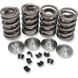 KIBBLEWHITE VALVE SPRINGS 48 - 84 BT (20 - 2000) - DRIVEN Canada's Powersports 20 - 2000