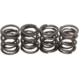 KIBBLEWHITE VALVE SPRINGS 48 - 84 BT (20 - 2000) - DRIVEN Canada's Powersports 20 - 2000