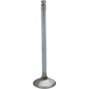 KIBBLEWHITE YZ450 INT VALVE STD (80 - 80213H) - DRIVEN Canada's Powersports 80 - 80213H