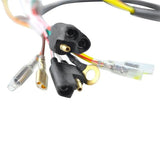 KIMPEX FLYWHEEL AND STATOR (SF - 900 - 006542) - DRIVEN Canada's Powersports 779421882082SF - 900 - 006542