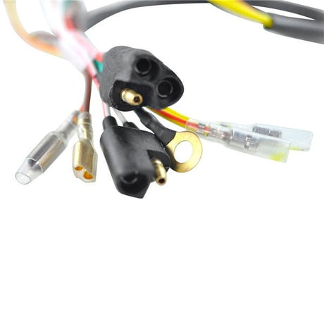 KIMPEX FLYWHEEL AND STATOR (SF - 900 - 006542) - DRIVEN Canada's Powersports 779421882082SF - 900 - 006542