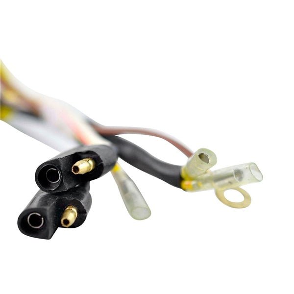 KIMPEX FLYWHEEL AND STATOR (SF - 900 - 006544) - DRIVEN Canada's Powersports 779421882105SF - 900 - 006544