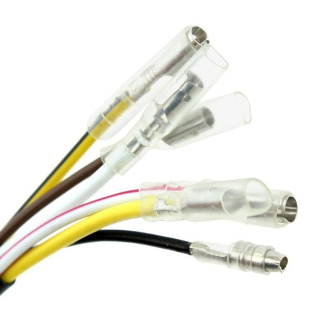 KIMPEX STATOR HD WITH A BACKPLATE (SF - 010 - 000416) - DRIVEN Canada's Powersports SF - 010 - 000416SF - 010 - 000416