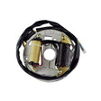 KIMPEX STATOR (SF - 010 - 000449) - DRIVEN Canada's Powersports SF - 010 - 000449SF - 010 - 000449