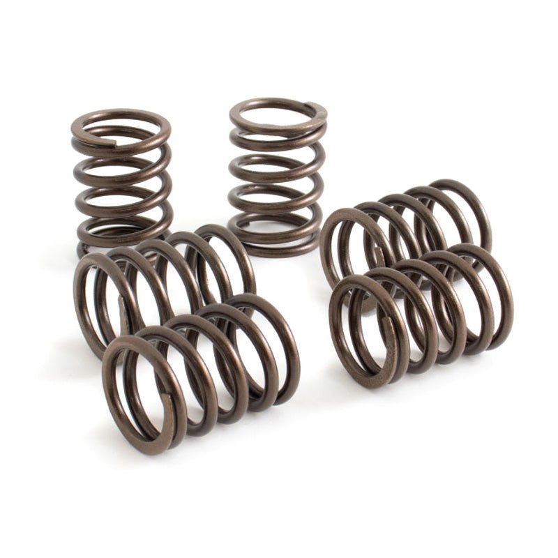 KOSO NORTH AMERICA CLUTCH SPRINGS (FT623001) - DRIVEN Canada's Powersports FT623001FT623001