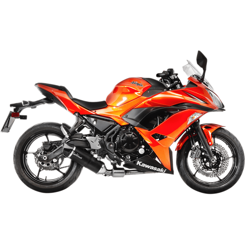 LEOVINCE EXHAUST ONE EVO CF Z650 (14182E) - DRIVEN Canada's Powersports 14182E