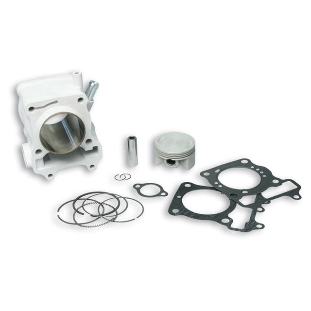 MALOSSI ALUMINUM CYLINDER KIT (3111588) - DRIVEN Canada's Powersports 31115883111588