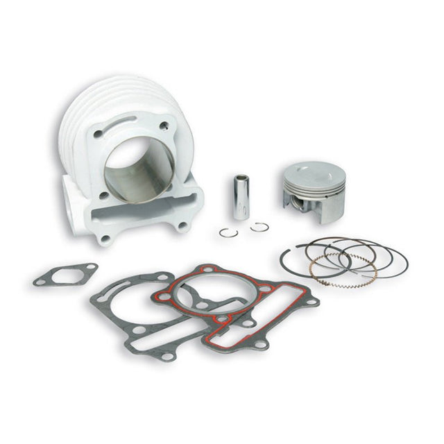 MALOSSI ALUMINUM CYLINDER KIT (3113243) - DRIVEN Canada's Powersports 44431132433113243