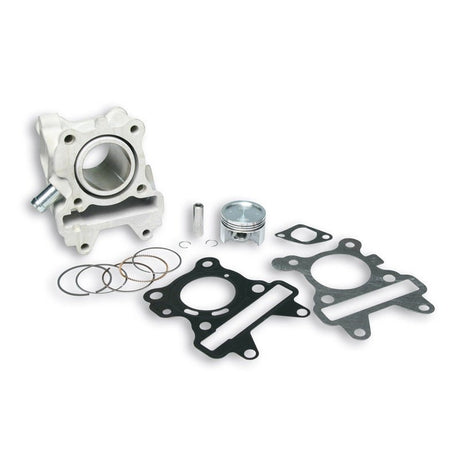 MALOSSI ALUMINUM CYLINDER KIT (3113579) - DRIVEN Canada's Powersports 31135793113579