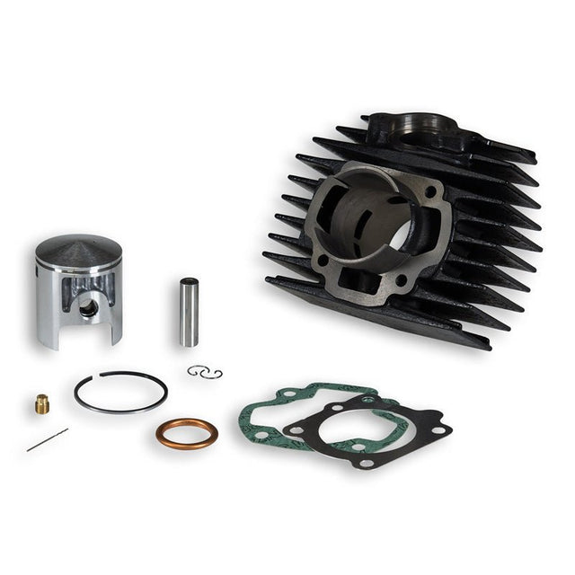 MALOSSI CAST IRON CYLINDER KIT 50CC (31 3642) - DRIVEN Canada's Powersports 31 364231 3642