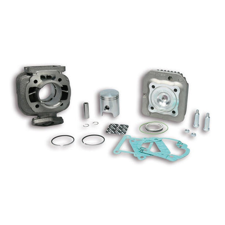 MALOSSI CAST IRON CYLINDER KIT 50CC (31 6901T) - DRIVEN Canada's Powersports 44431690131 6901T