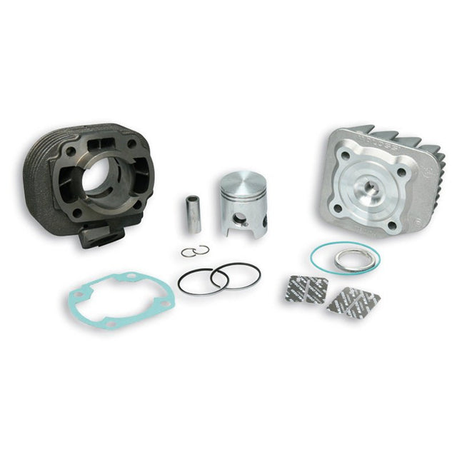 MALOSSI CAST IRON CYLINDER KIT 50CC (3113865) - DRIVEN Canada's Powersports 31138653113865